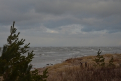 Mazirbe Rudens (1)