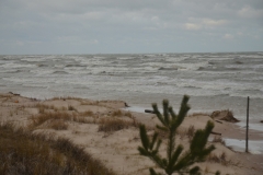 Mazirbe Rudens (2)