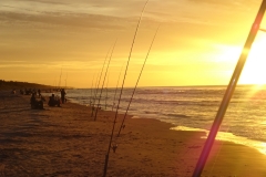Mazirbe Rudens (6)