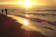 Mazirbe Rudens (7)