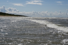 Mazirbe Vasara (6)